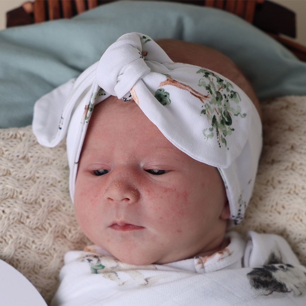 snuggle_hunny_dogs_topknot_3