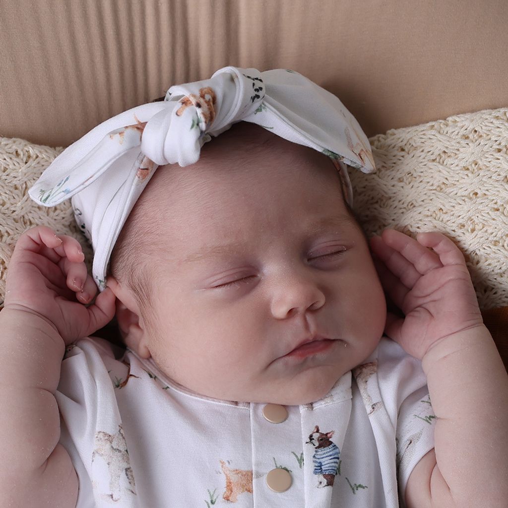 snuggle_hunny_dogs_topknot_2