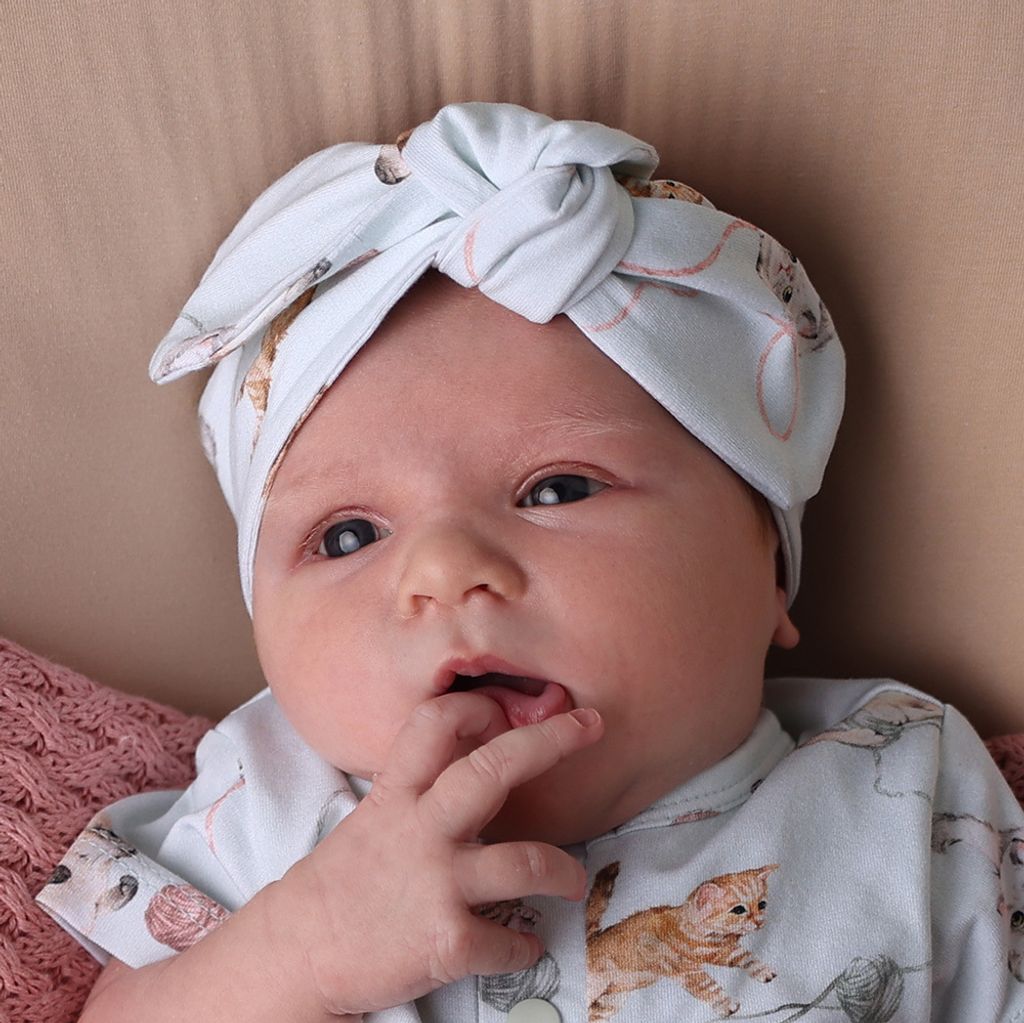 snuggle_hunny_cats_topknot_2