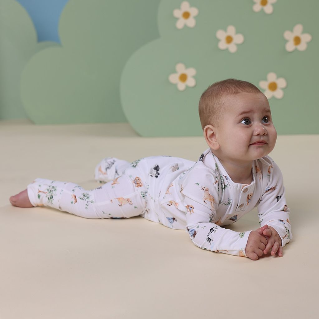 snuggle_hunny_dogs_growsuit_3