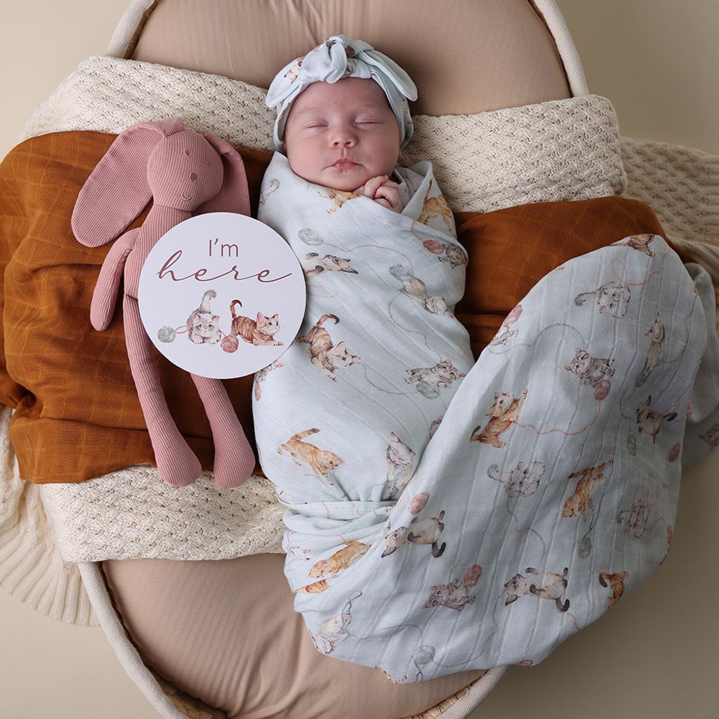 snuggle_hunny_cats_muslin_wrap_5