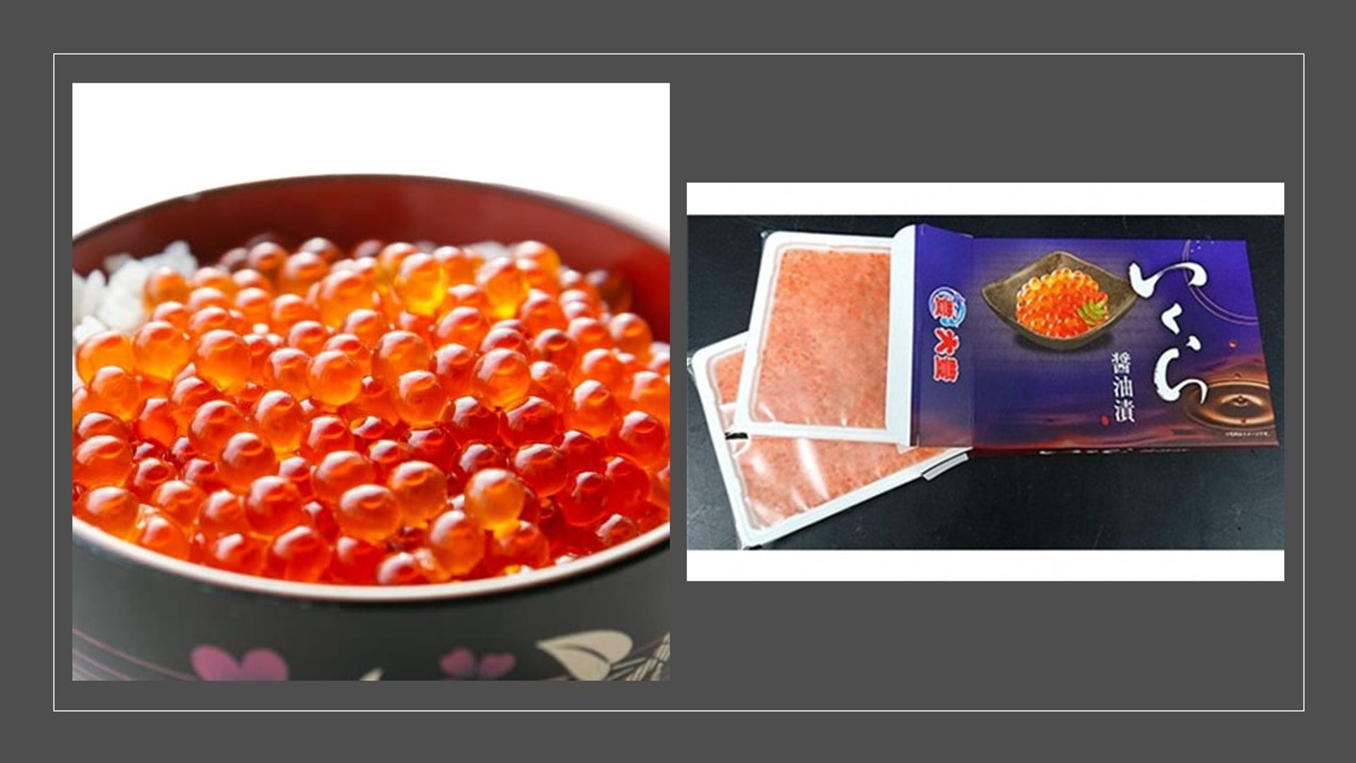 https://www.yocornfood.com/ | AJITSUKE IKURA 