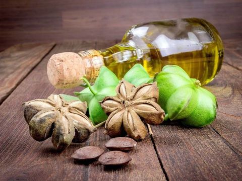 Sacha-Inchi-Fun-Facts-Recipes-1200x900