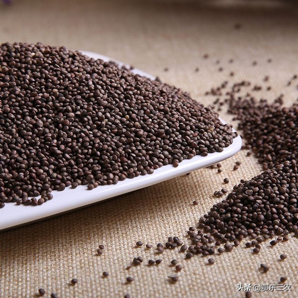 77680b6844a94e5a89c009b4c350d82c