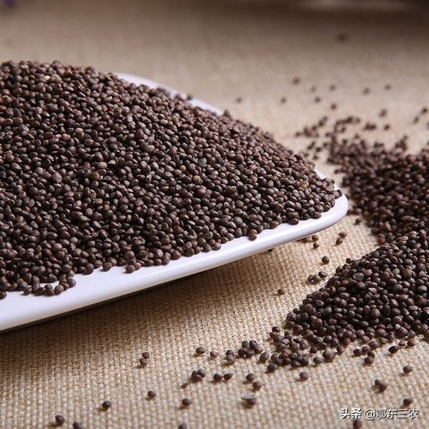 77680b6844a94e5a89c009b4c350d82c