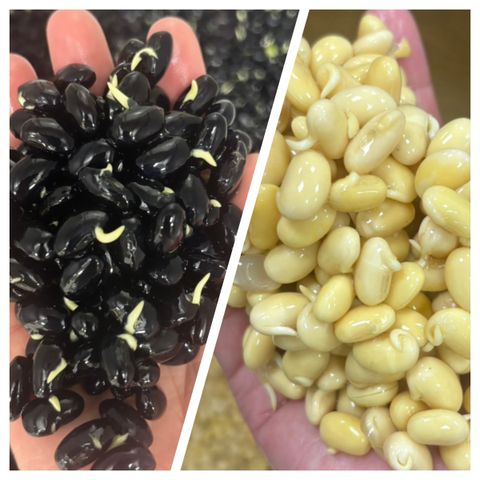 InCollage_20260127_112403978