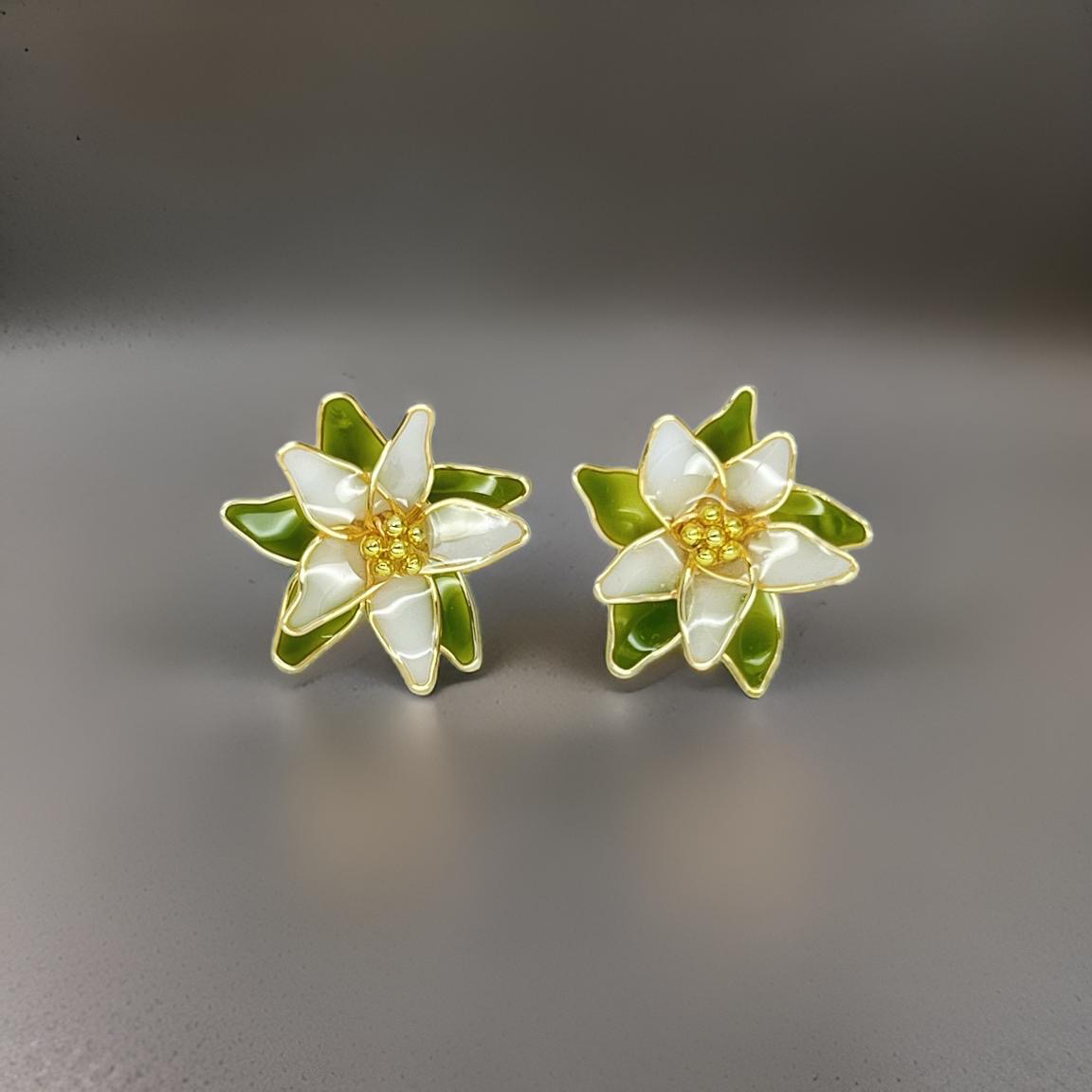 IMG_0905-1729956921679