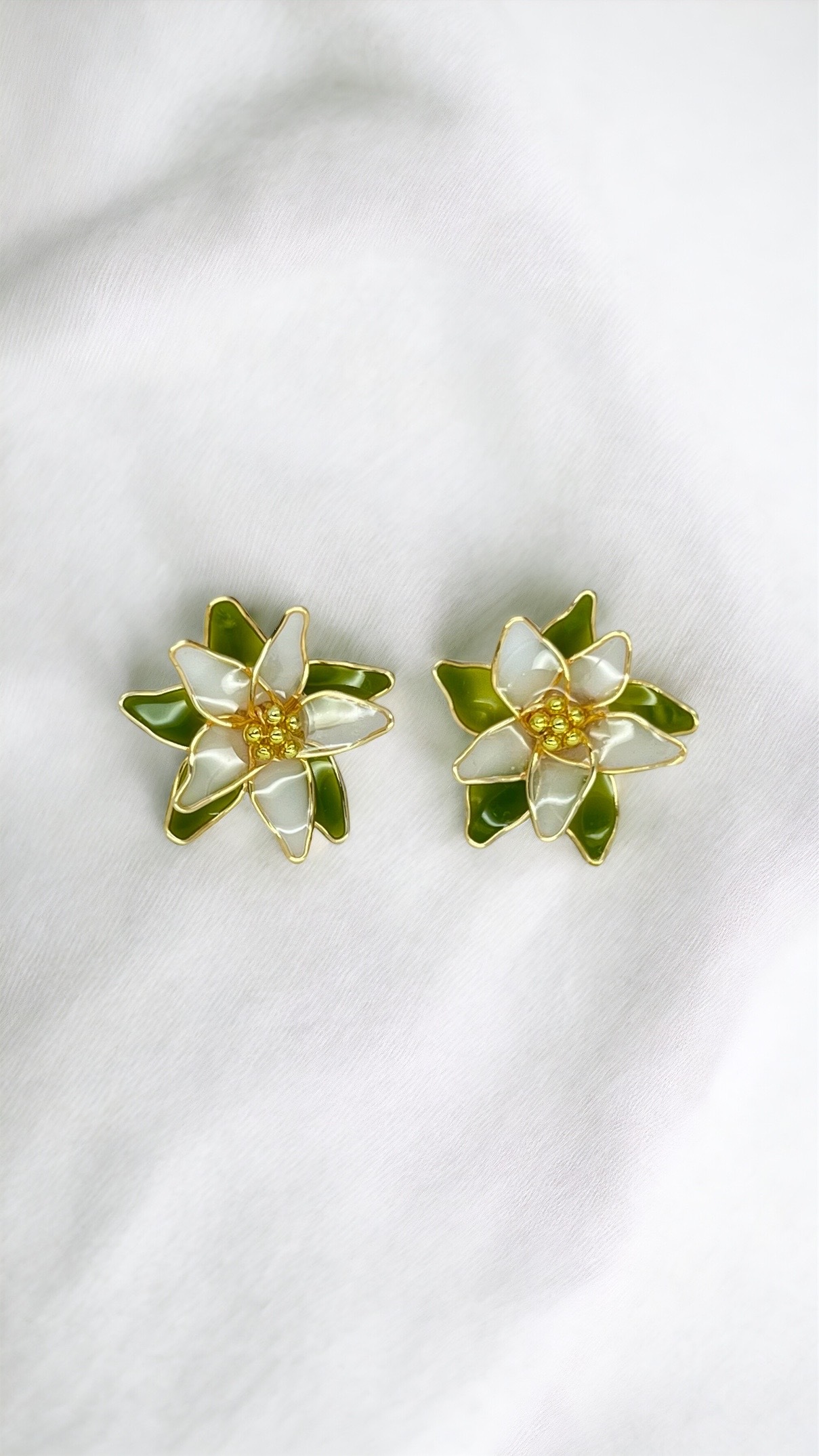 PhotoRoom_20241021_222040-1729956922201