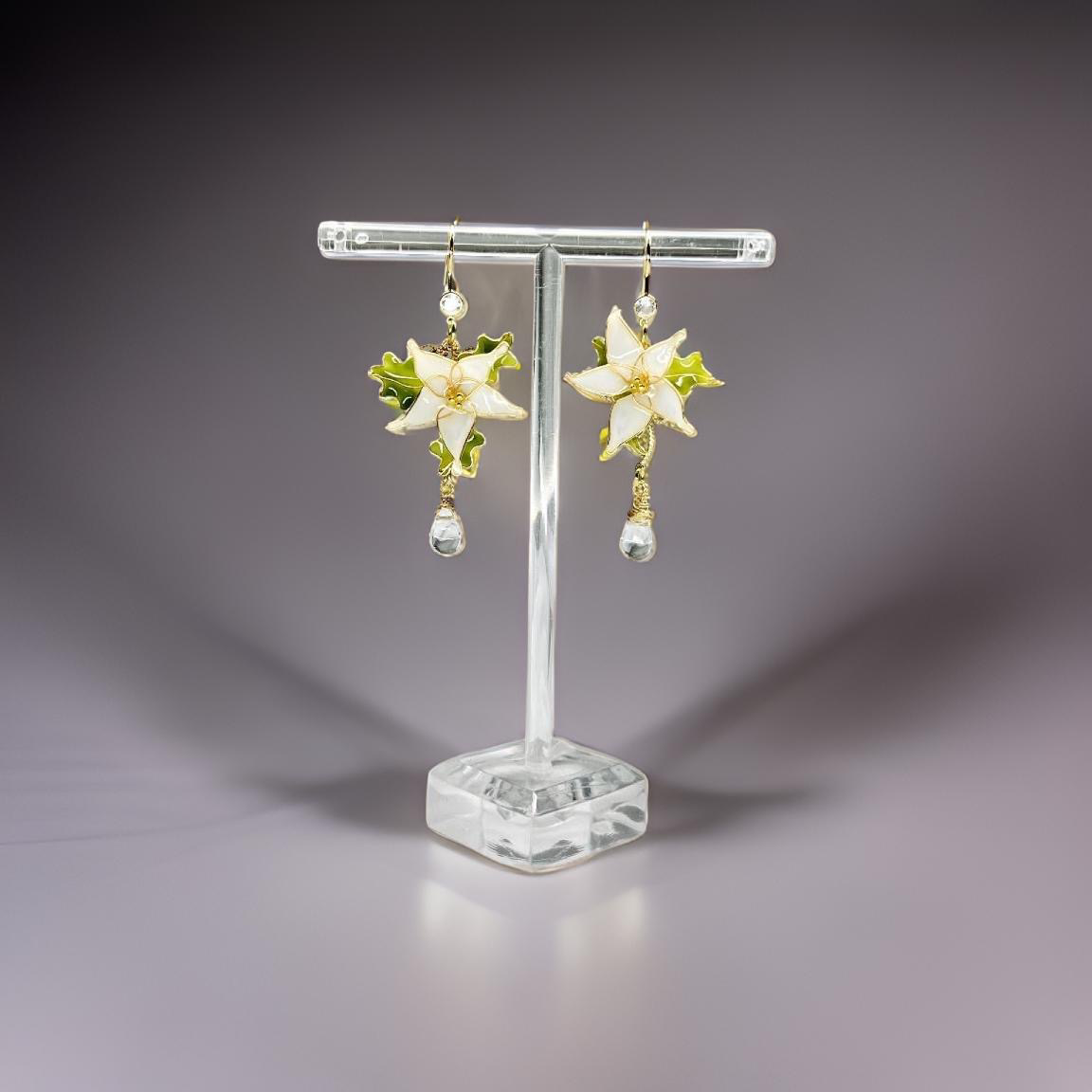 IMG_0910-1730018536252