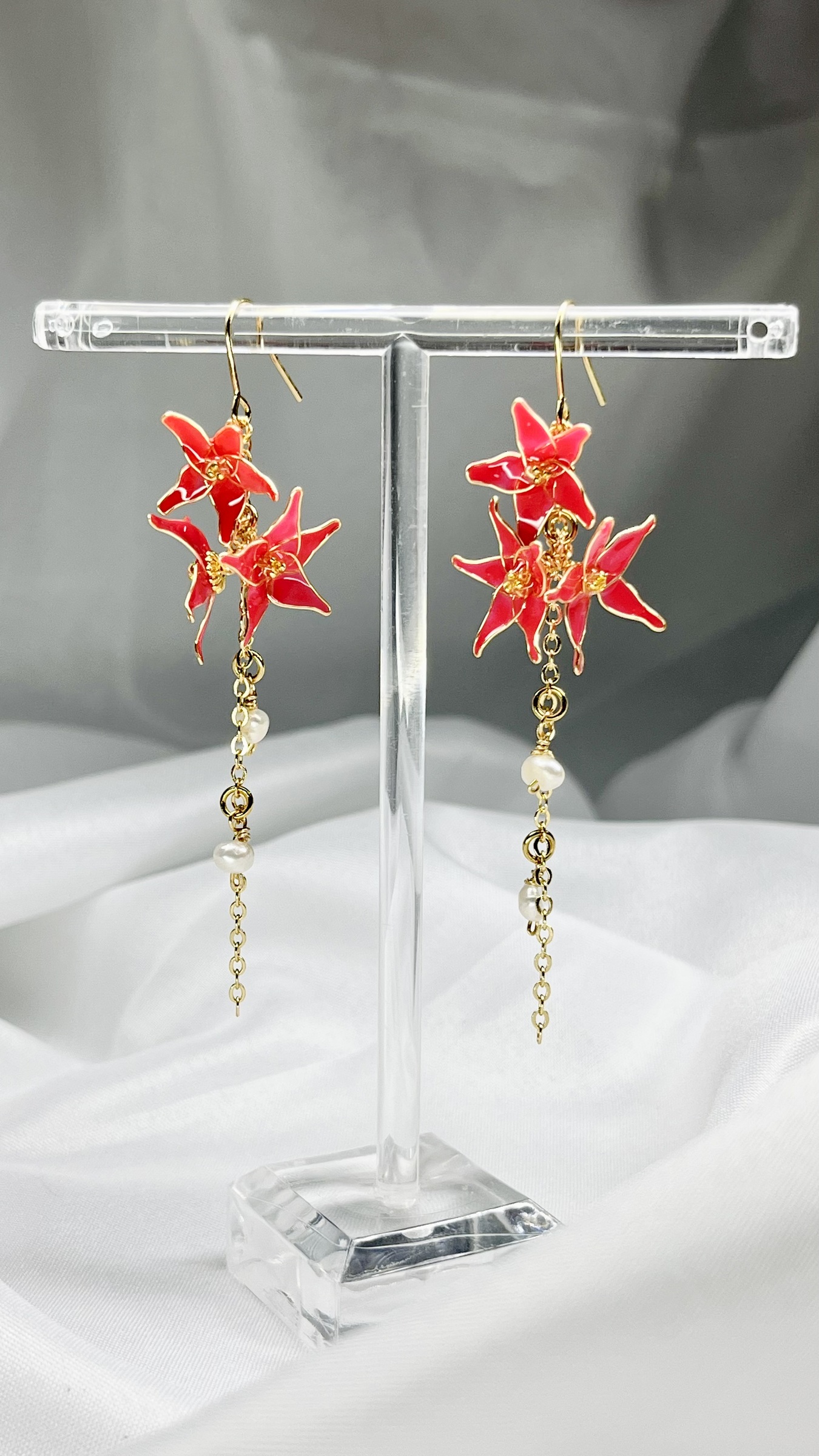 IMG_0818-1730022275704