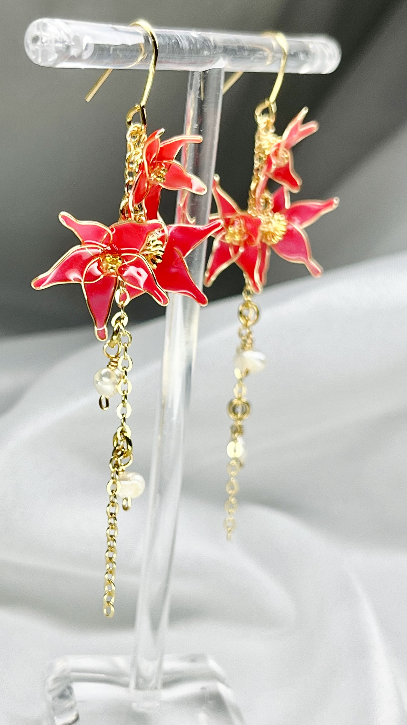 IMG_0848-1730022275839