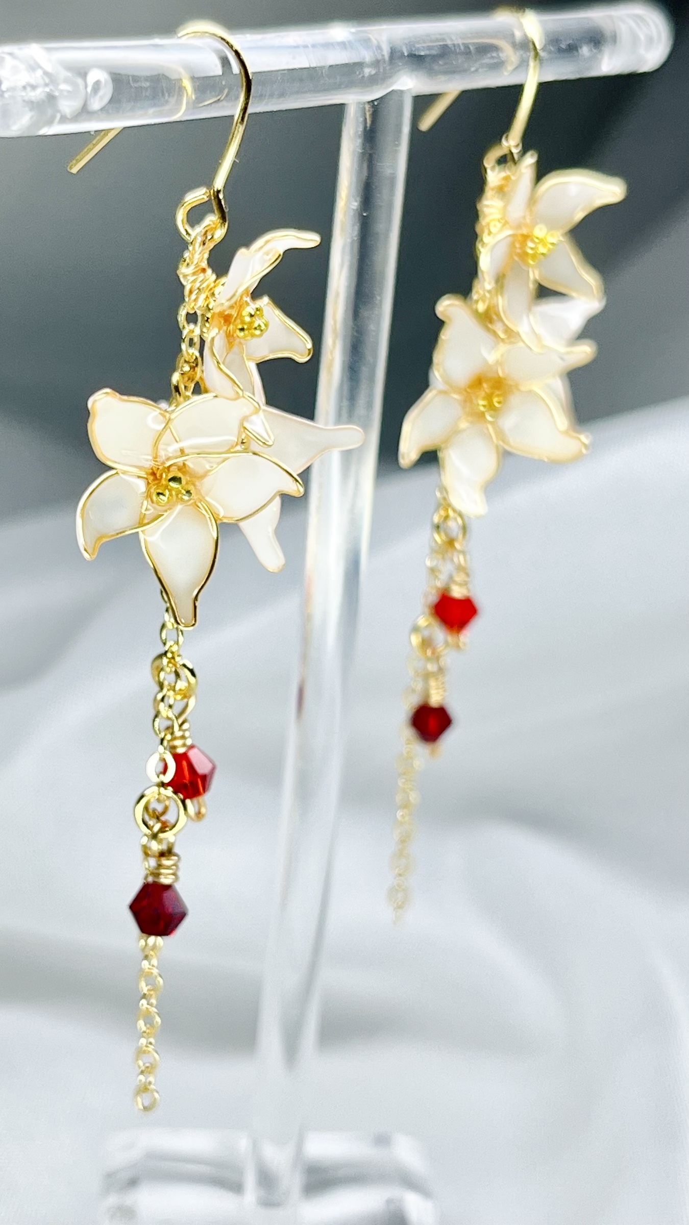 IMG_0849-1730022473930