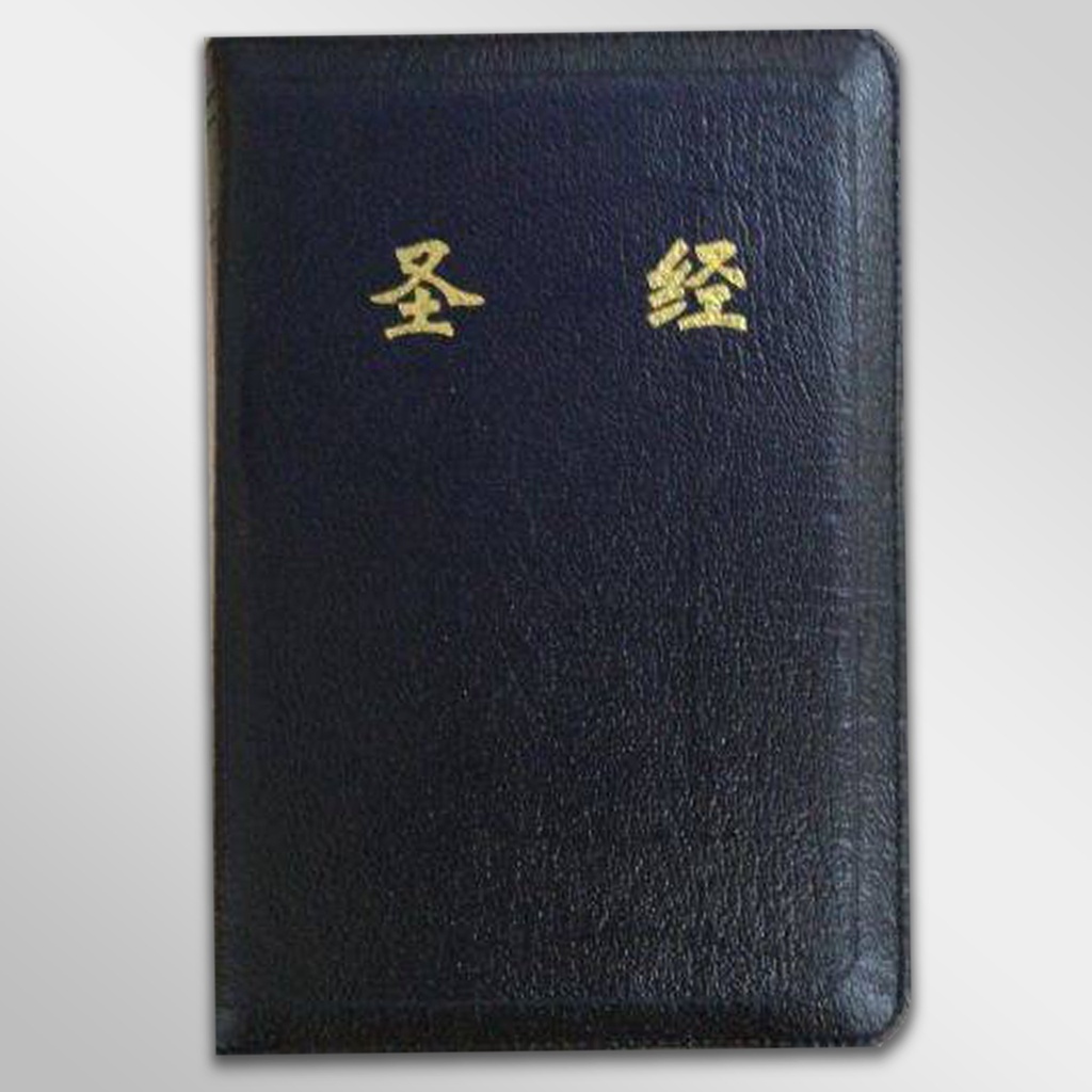 聖經：和合本(黑色燙金大字紅字索引精裝)/圣经：和合本(黑色烫金大字红字索引精装 聖經：和合本(黑色燙金大字紅字索引精裝)/圣经：和合本(黑色烫金