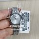 2593SM01 SILVER