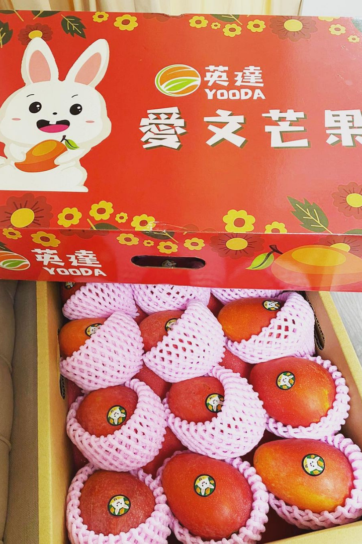 未命名設計 拷貝 3.png