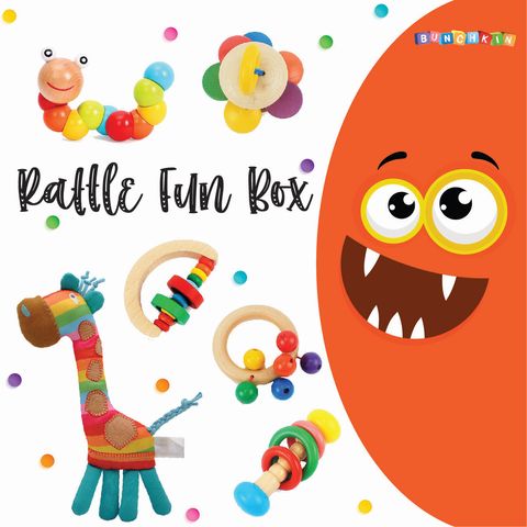 Rattle Fun Box-01.jpg