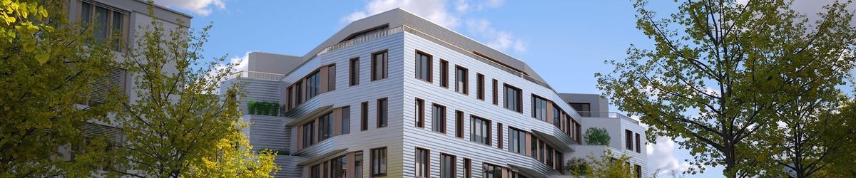 現在! V-Ray 6 for Revit 相容Enscape物件