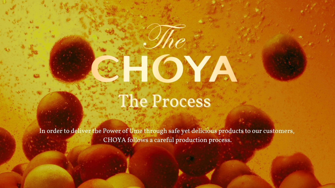 The Process – CHOYA Malaysia