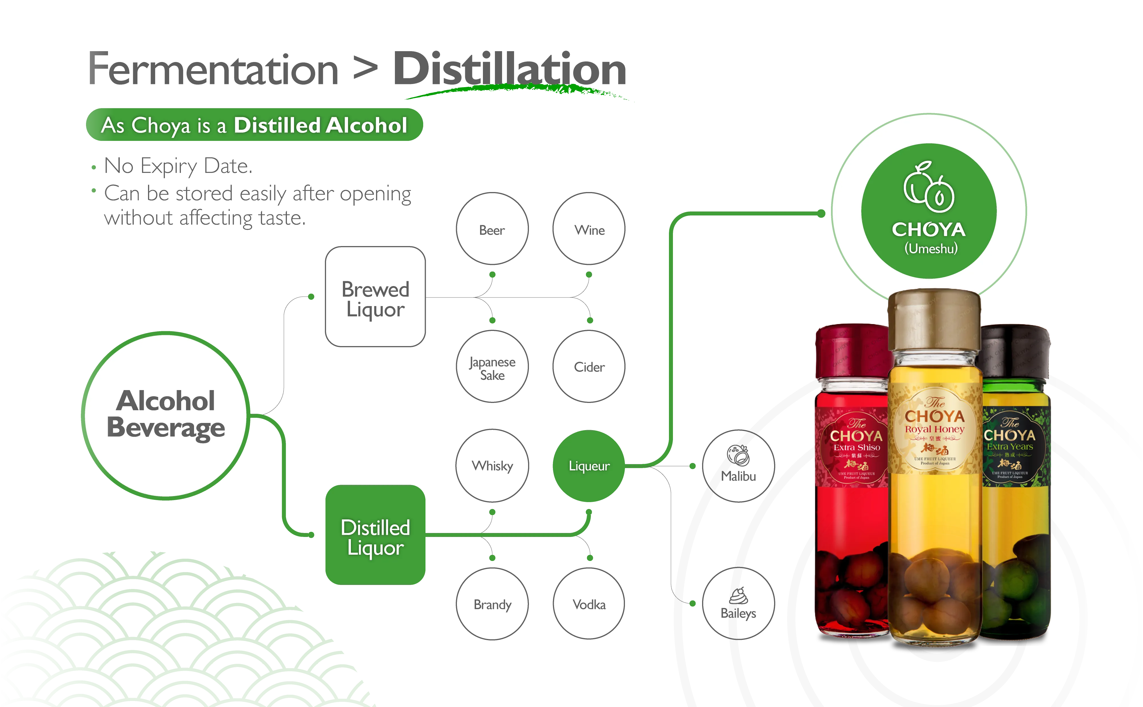 Choya_Distillation_desktop.png