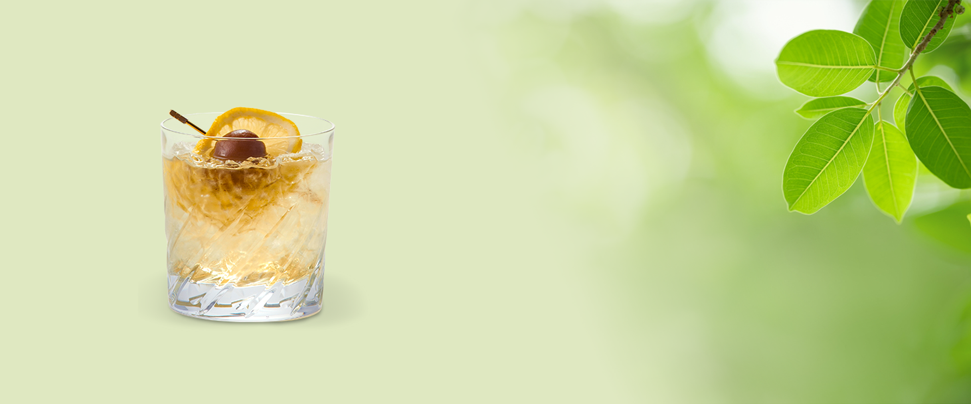 CHOYA Malaysia | FREE DELIVERY