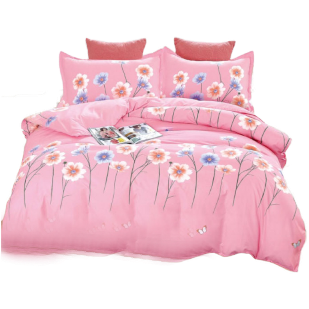 MAIN IMAGE (Transparent).png