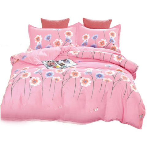 MAIN IMAGE (Transparent).png