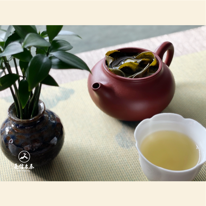 石棹春茶＿官網-01.png
