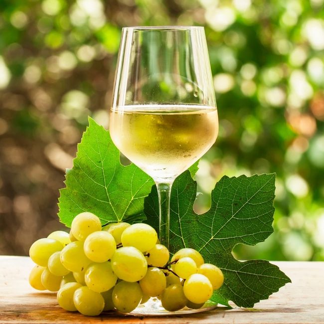 LINESE BEVERAGES | Our Collections - WHITE WINE