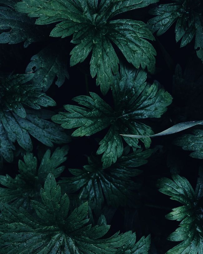 PengYou Bookstore |  - PROMOTION