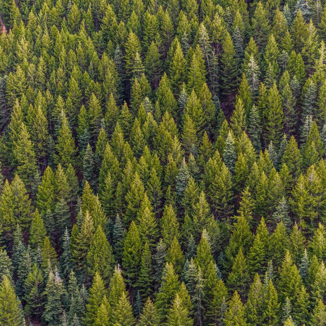 PengYou Bookstore |  - SALES & SERVICE TAX