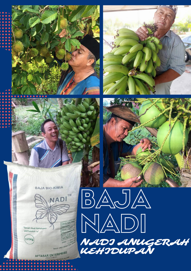 BAJA NADI |  - BAJA NADI BIO KIMIA