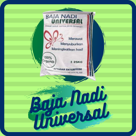 Green Flatlay Quote Enterprise Brand Studio Instagram Post (5).png