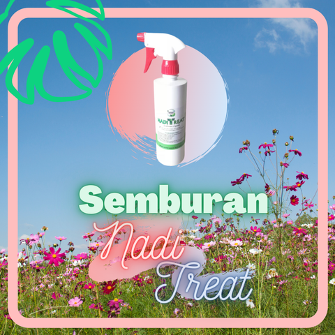 Green Flatlay Quote Enterprise Brand Studio Instagram Post (2).png