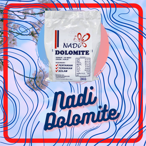 Green Flatlay Quote Enterprise Brand Studio Instagram Post (6).png