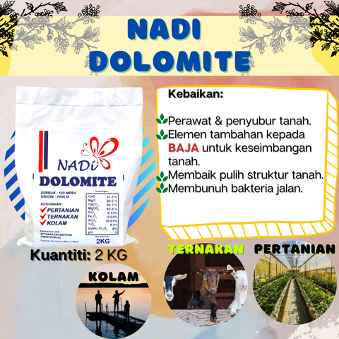 NADI DOLOMITE.png