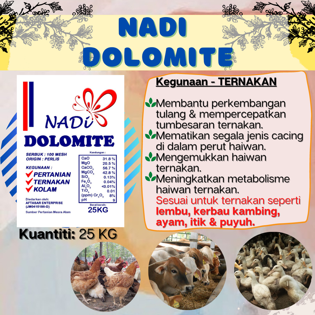 NADI DOLOMITE  (2).png