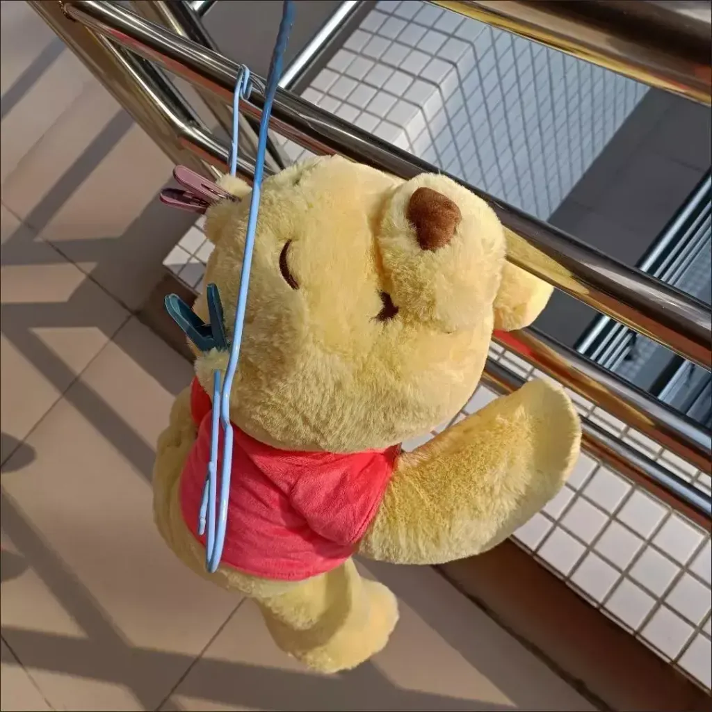 IMG_20220321_121157_470