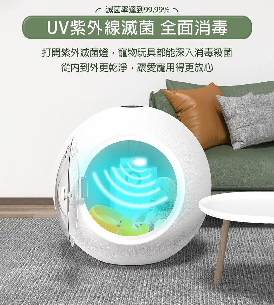 圖片5