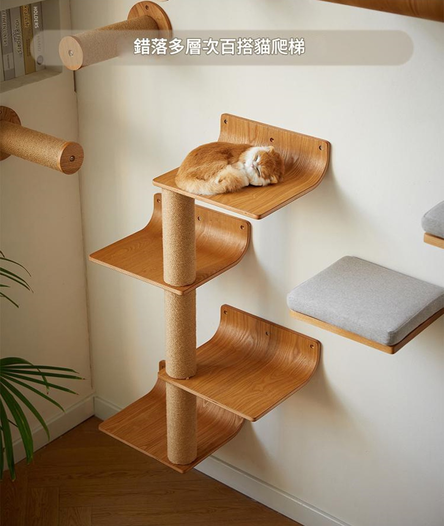 白橡木實木貓跳台組 圖22