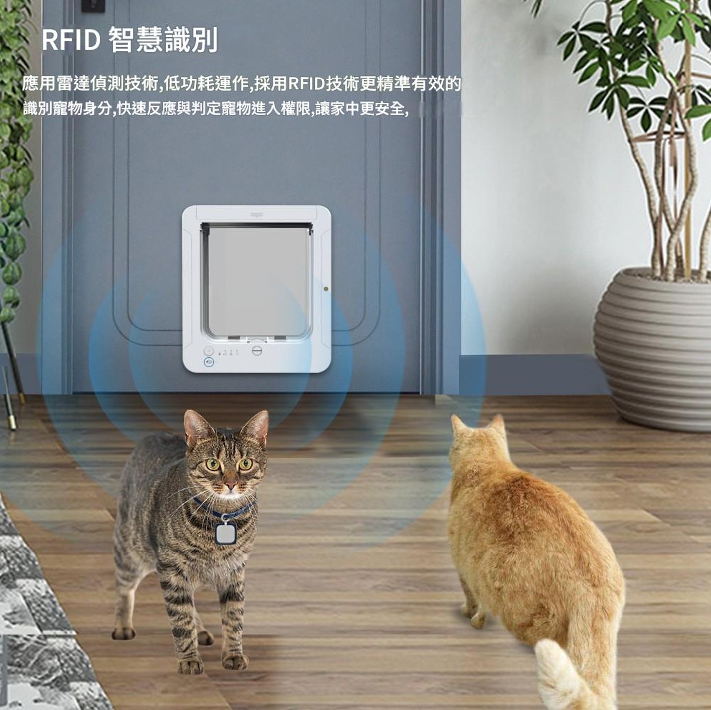 感應式寵物門