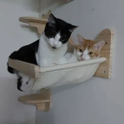 貓跳台承重