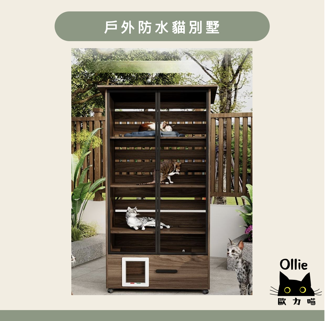 截圖 2025-12-02 下午3.18.32