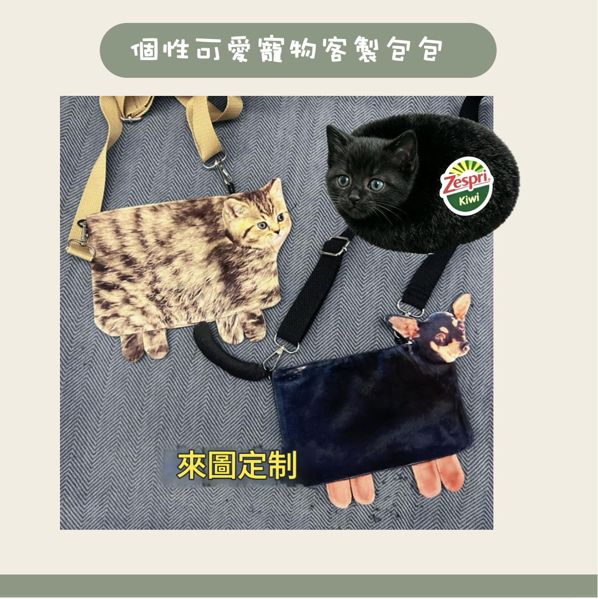 截圖 2026-08-13 下午1.16.48