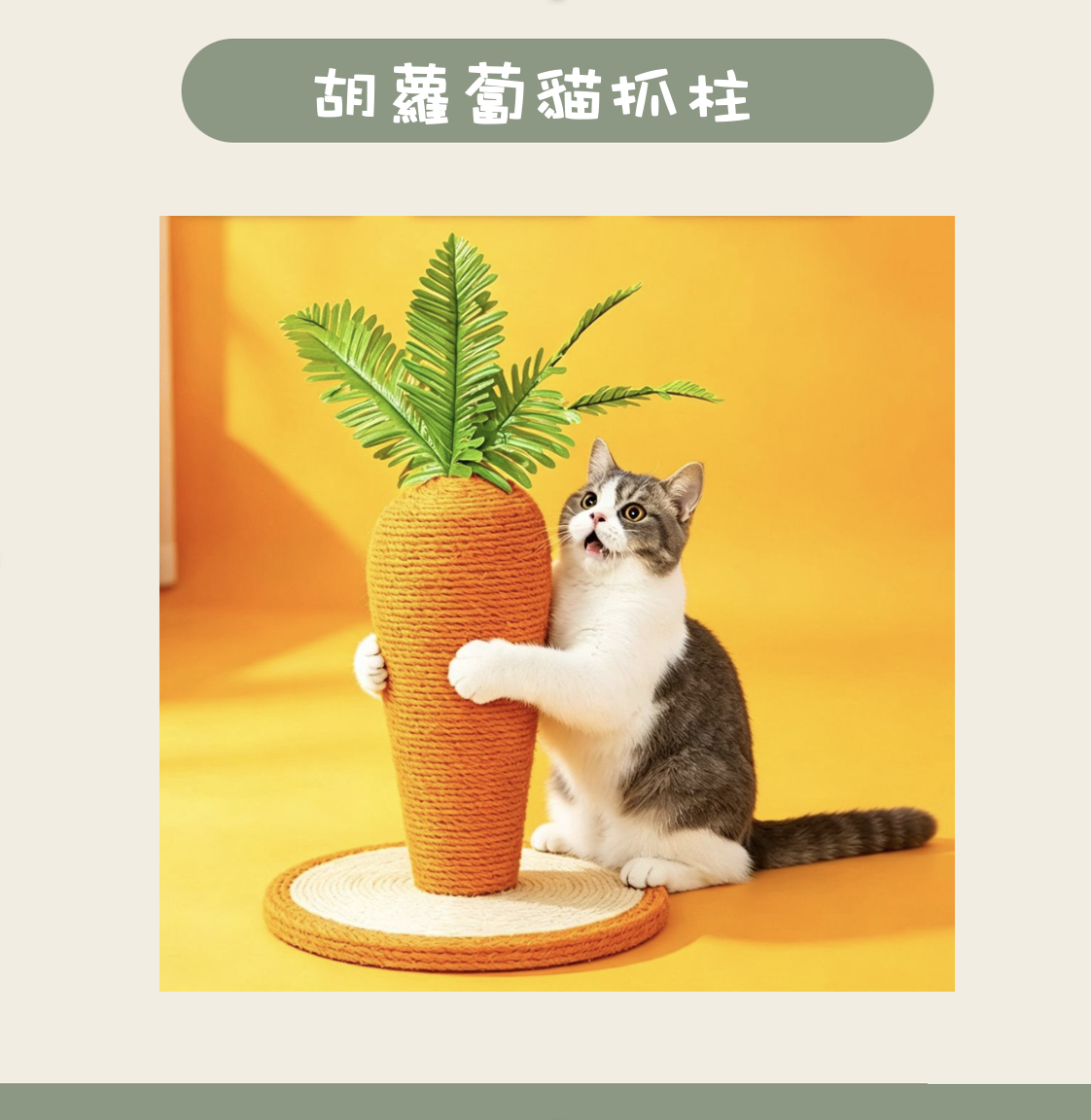 截圖 2026-08-19 下午1.29.40