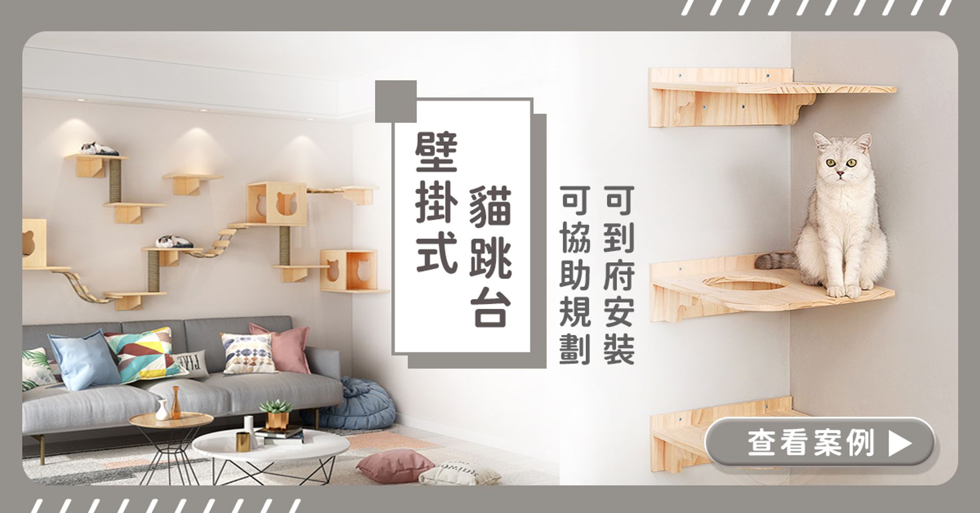 Ollie歐力喵與汪小乖 寵物市集 | 