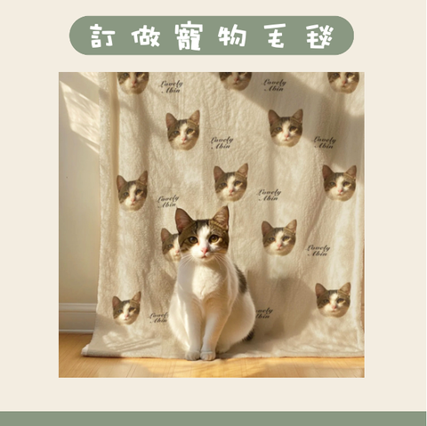 截圖 2026-07-28 下午1.22.15
