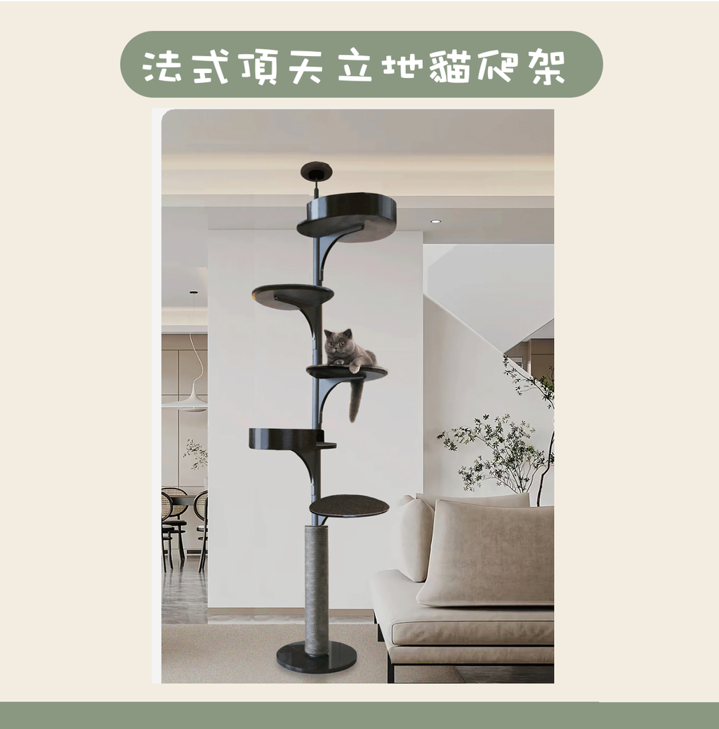 截圖 2026-08-13 下午1.35.21