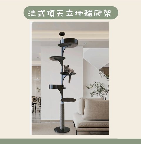 截圖 2026-08-13 下午1.35.21
