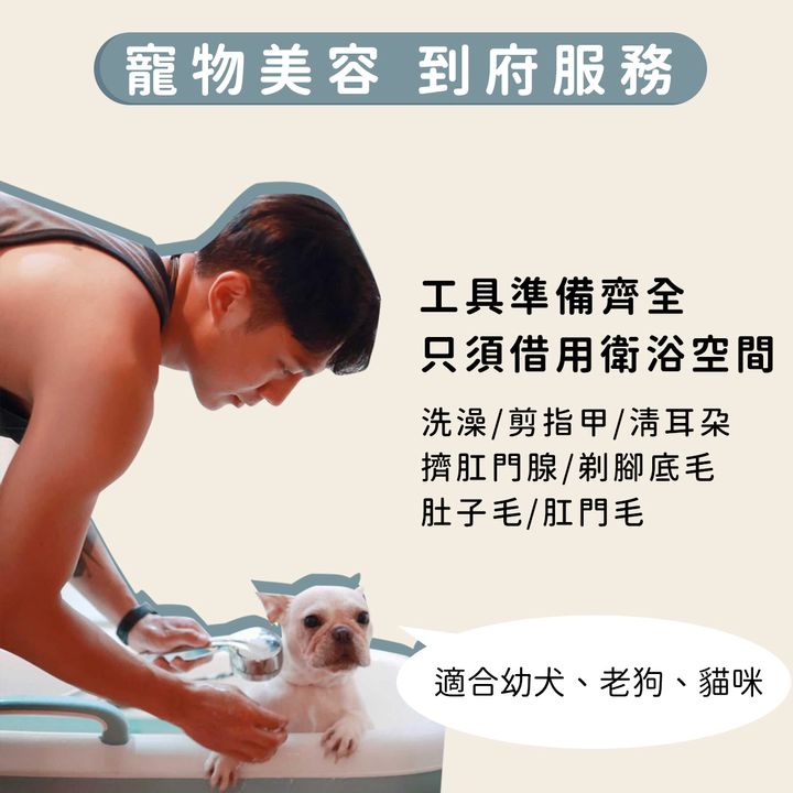 寵物美容官網06.jpg