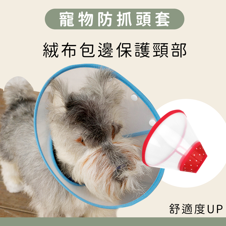 官網.png